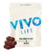 Vivo Life biljni kolagen gradivni blokovi, okus čokolade - dodatak prehrani, 950 g